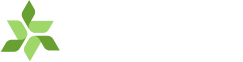 Liv Group